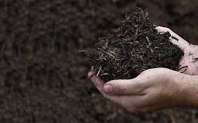 تصویر 2 از کود ورمی کمپوست + با کیفیت